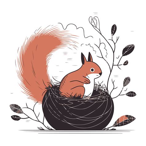 Vector illustration of a squirrel sitting in a nest on a white ...