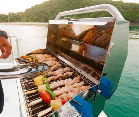 Pontoon Grill A Comprehensive Guide For Boating Enthusiasts Seamagazine