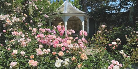 Beautiful Botanical At Our Favourite Cornish Gardens Cornwall Living