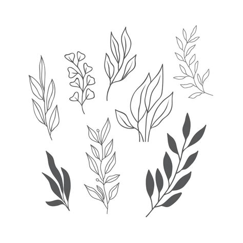 aesthetic leaf vector art icons  graphics