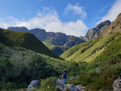 Best 3 Activities at Jonkershoek Nature Reserve Cape Town