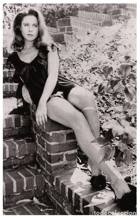 Sexy Elizabeth Montgomery Actress Pin Up Photo Vendido En Venta