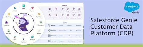 Salesforce Genie Customer Data Platform Cdp