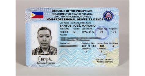 Driver's License Renewal Philippines 2024 - Galina Marlyn