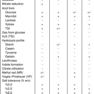 Morphological Physiological And Biochemical Characteristics Of