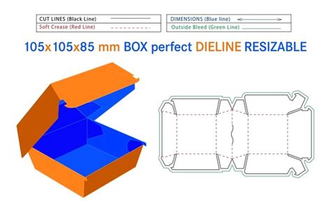 Box Template No Glue Royalty Free Images Stock Photos Pictures