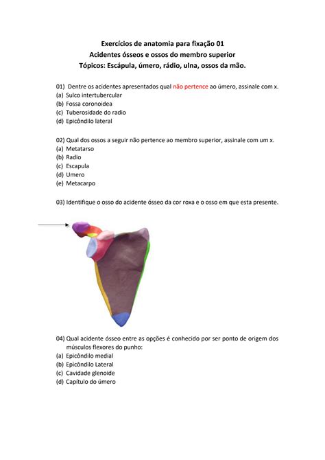 SOLUTION Exercícios de anatomia para fixação Studypool