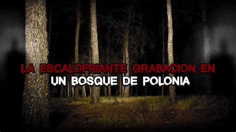 La Escalofriante Grabaci N En Un Bosque De Polonia Youtube