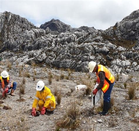 Pengertian Bioteknologi DAMPAK CONTOH MANFAAT JENIS Dll