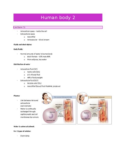 Human Body 2 Notes Human Body 2 Lecture 1 Intracellular Space