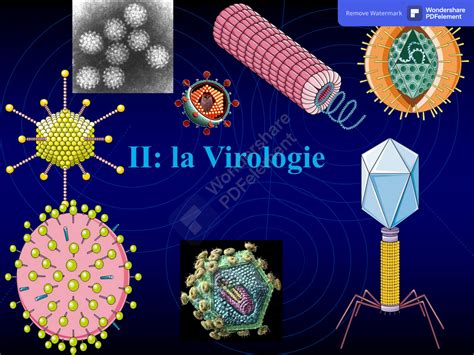 Solution Chapitre Mycologie Algologie Virologie Studypool