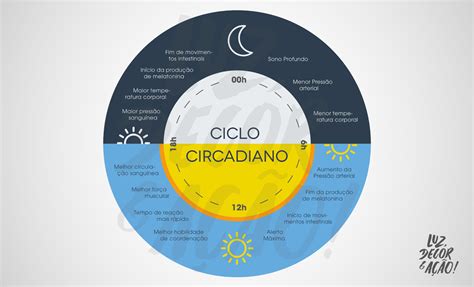 Confira A A O Do Ciclo Circadiano Em Seu Organismo Emp Rio Luz