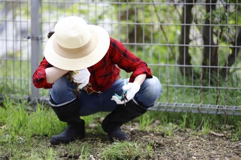 草むしりの道具や草取りのコツとやり方！服装や椅子を使った楽な方法！ パワースポット巡りでご利益を！開運ネット