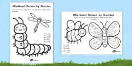 Minibeasts Colour By Number Counting Worksheet Worksheet