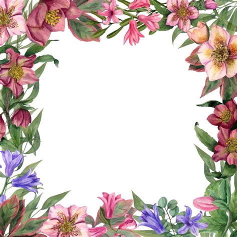 Square Floral Frame With Hellebores Hyacinth Spring Flowers