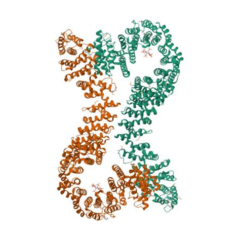 Gene Q Nti Protein Pds B Overview Cansar Ai