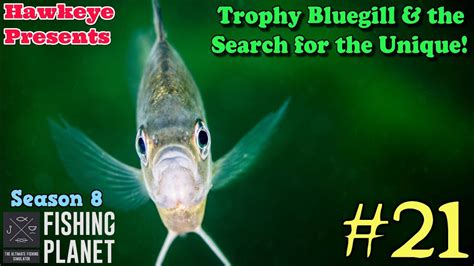 Fishing Planet 21 S8 Trophy Bluegill The Search For The Unique