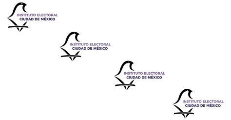 Instituto Electoral De La Ciudad De Mexico