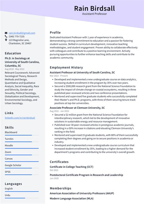 Top 18 Assistant Professor Resume Objective Examples