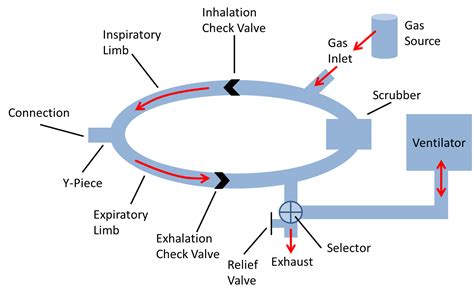 Anesthesia Machine Labeled Diagram