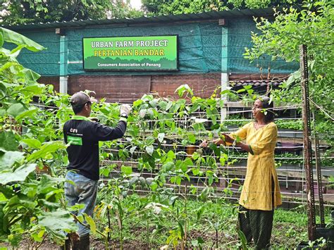 Malaysian Urban Farming Project Shortlisted For Peoples Choice Award