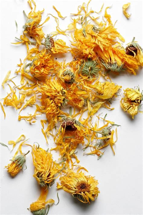 Dried Calendula Flowers And Petals Calendula Officinalis Etsy