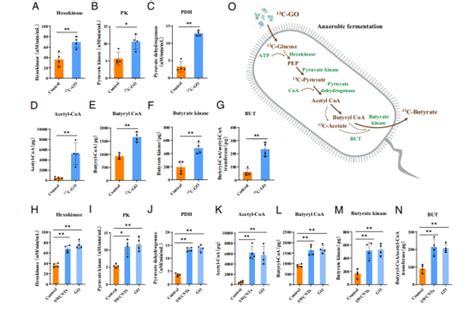 国家纳米科学中心陈春英团队pnas：给小老鼠喂食碳纳米材料，被nature亮点报道！ 石墨烯网