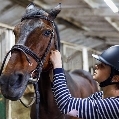 Teenage Girl Horse Rider Adjusting Reins In Harness At The Stable Stock