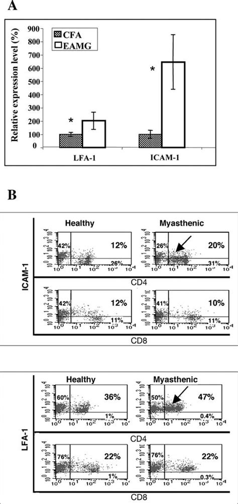 Overexpression Of Ifn Induced Protein 10 And Its Receptor Cxcr3 In