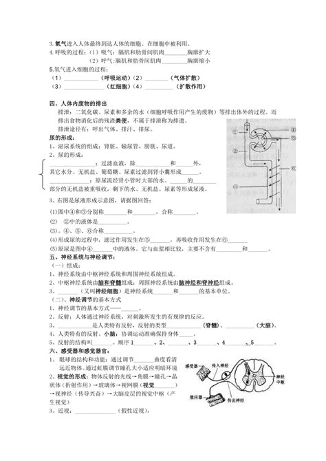 北师大版生物七年级下册生物期末知识点复习（填空式）21世纪教育网 二一教育