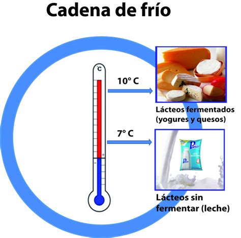 Informe Cadena De Fr O En L Cteos Clave En Seguridad Alimentaria