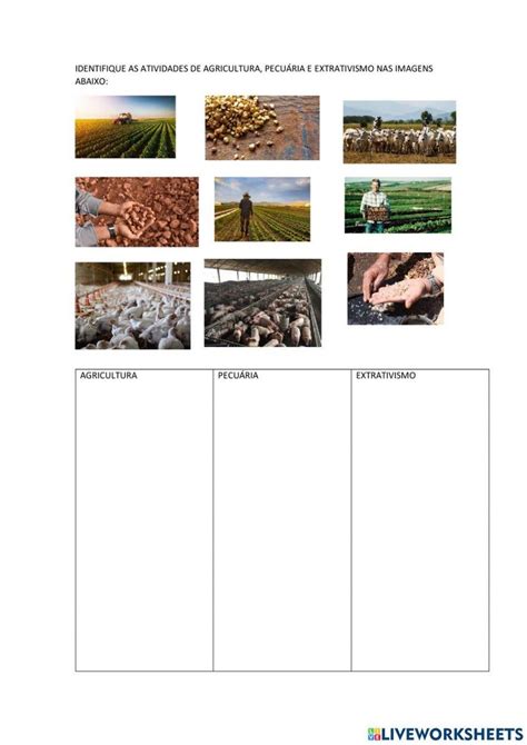 Geografia agricultura pecuária extrativismo worksheet Online