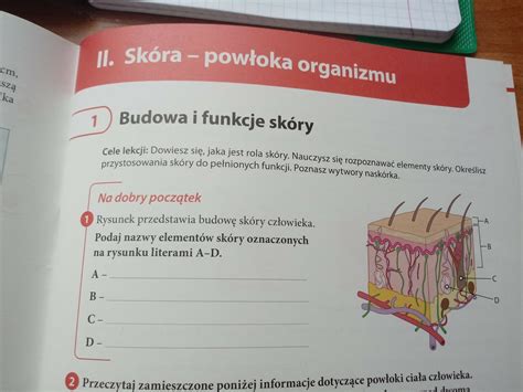 Rysunek Przedstawia Budow Sk Ry Cz Owieka Podaj Nazwy Element W Sk Ry