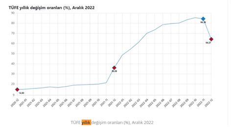 2023 yıllık enflasyon oranları TÜİK verilerine göre on iki aylık