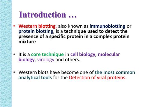 Western Blotting Method