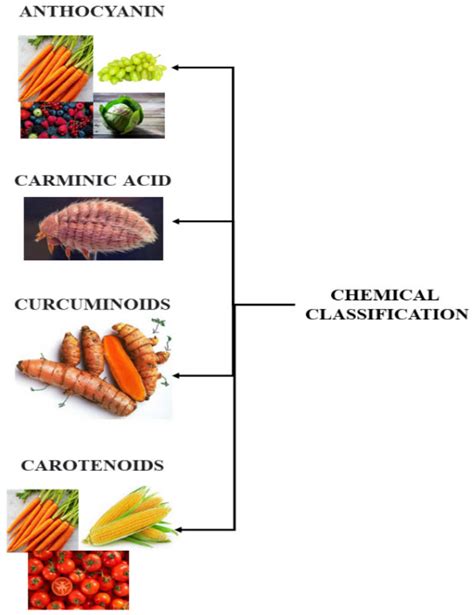 Foods Free Full Text Progress And Prospective Of The Industrial