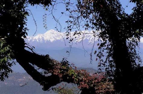 Binsar Trek L Uttarakhand L India L