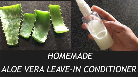 Homemade Aloe Vera Leave In Conditioner YouTube