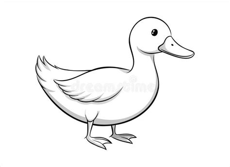 Cartoon White Duck Stock Illustrations 20 093 Cartoon White Duck