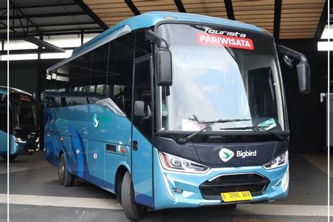 Foto Big Bird Luncurkan Bus Baru Pakai Sasis Isuzu