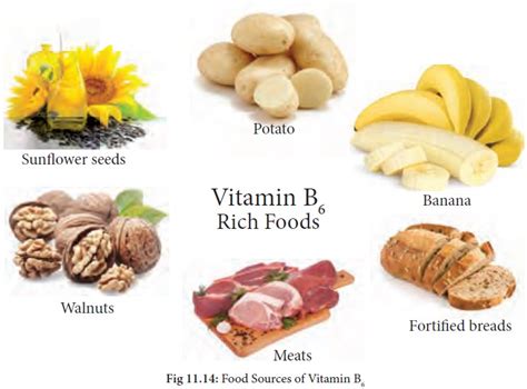 Vitamin B6 (Pyridoxine) : Functions, Food Sources, Symptoms of deficiency