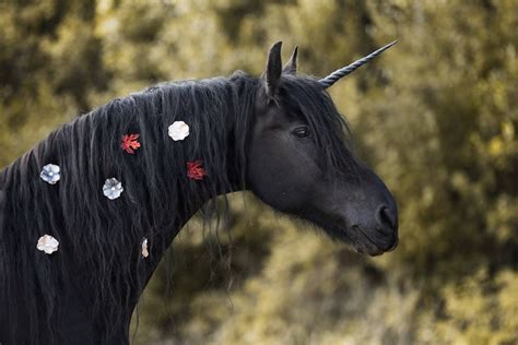 Black Unicorn Horn With Detachable Base - Etsy