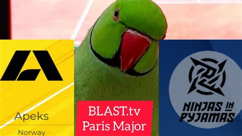 Apeks Vs Ninjas In Pyjamas Blast Paris Major Legends Stage