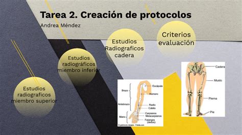 Tarea Imagenolog A Convencional By Andrea Mendez On Prezi