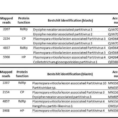 Phylogenetic Tree And Pairwise Identity Matrix Of RdRp And CP Proteins