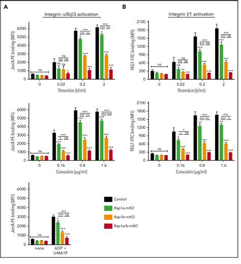 Figure 2 From Functional Redundancy Between RAP1 Isoforms In Murine