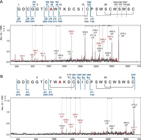 Elucidation Of The Bridging Pattern Of The Lantibiotic Pseudomycoicidin