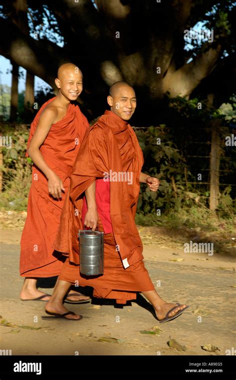 Two Young Buddhist Monks Laughing In Red Robes Walk Along An Old Fig