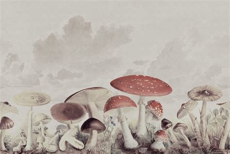 Mushrooms Vintage By Themaninrags