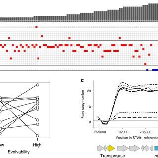 Genomic basis of evolved ciprofloxacin resistance a Resistance ...